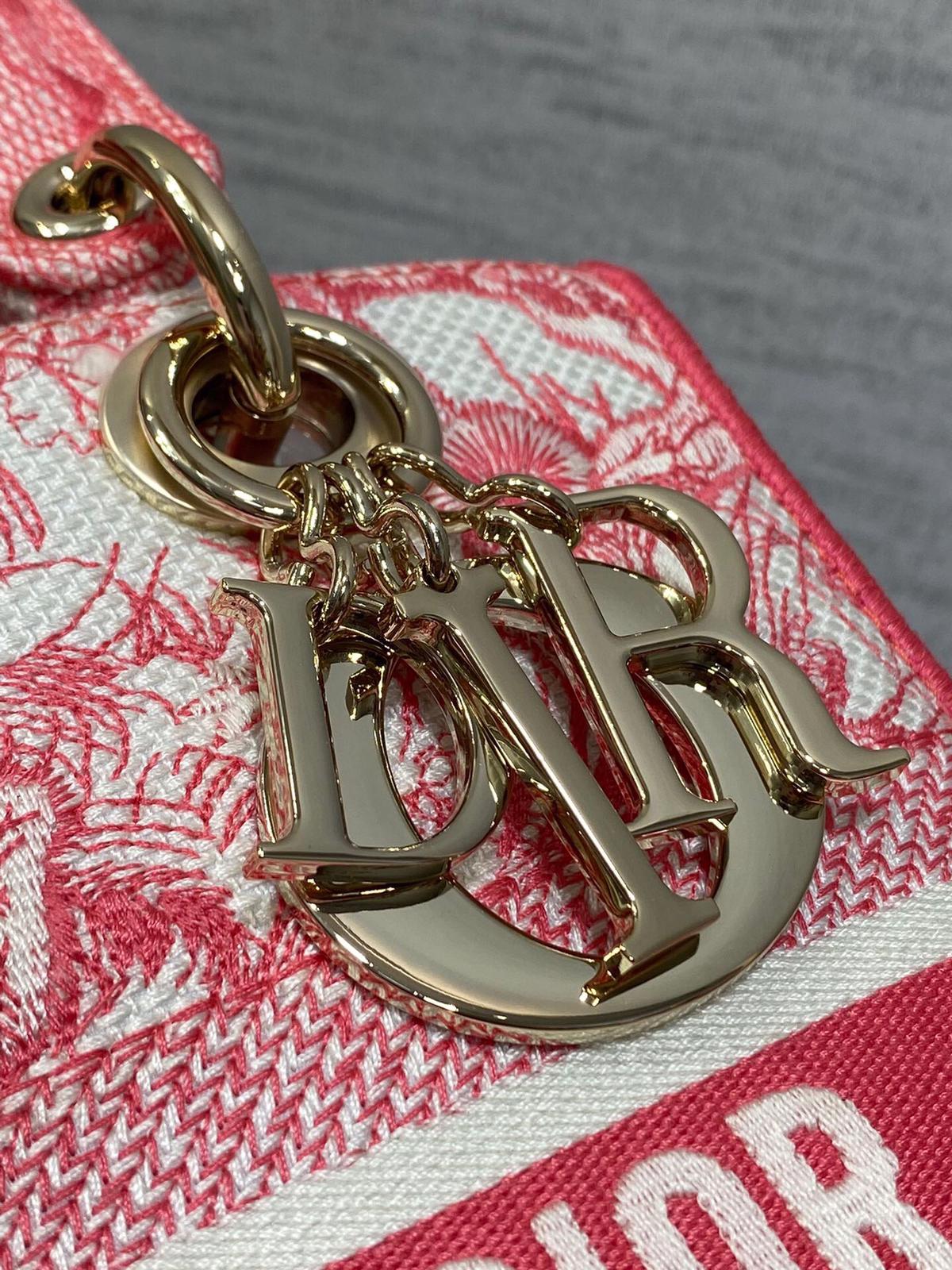 Dior Bag 8 Dior Bag - Image 8