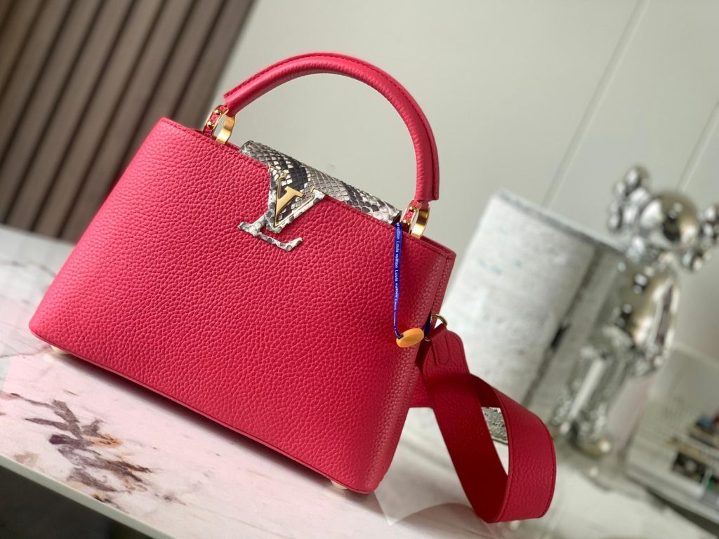 LV Bag