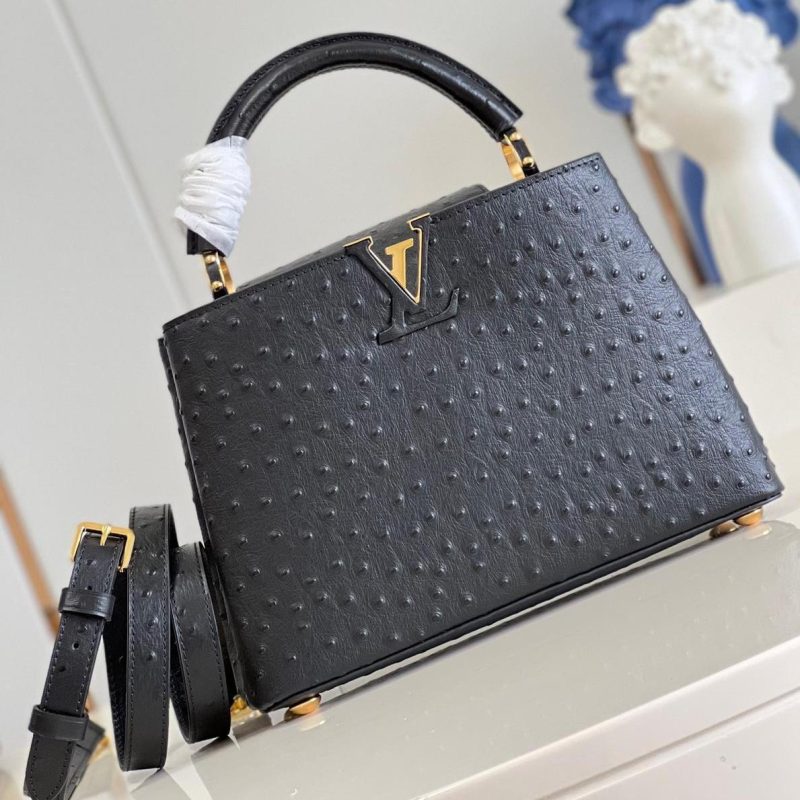 LV Bag