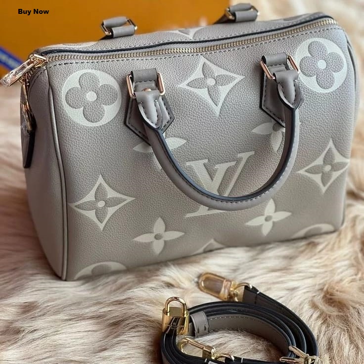 LV Bag 2 LV Bag - Image 2